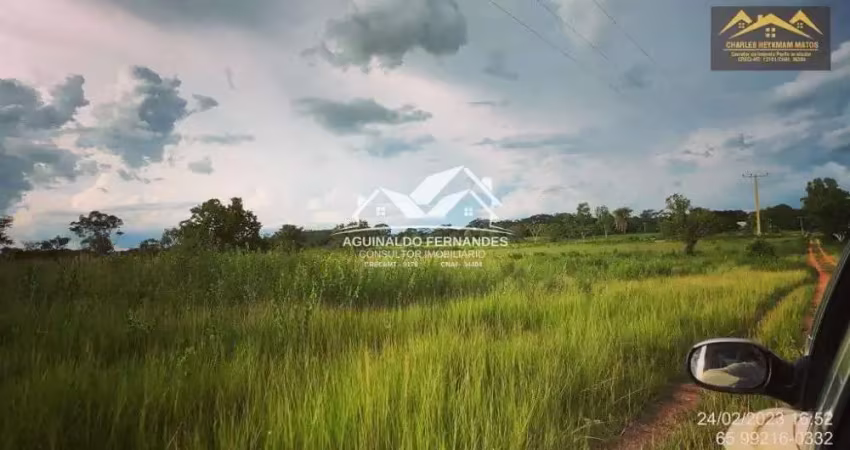 Fazenda 954 hectares dupla aptidão perto de cuiabá mt