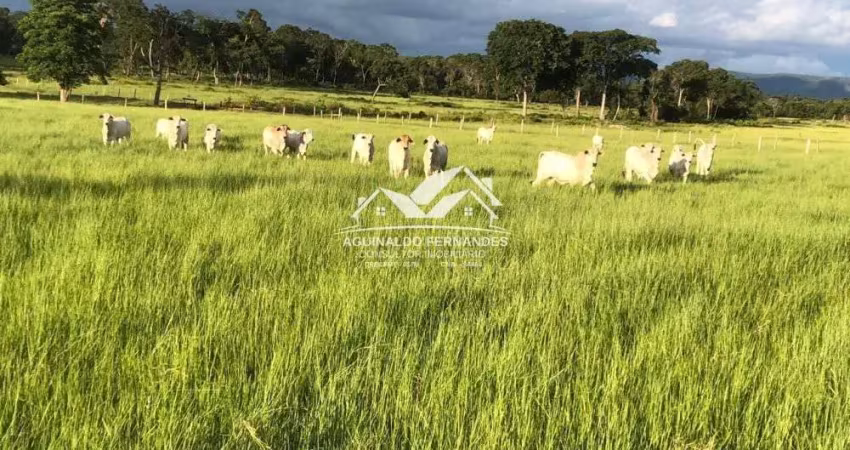 Fazenda à venda no Raizama, Cuiabá 