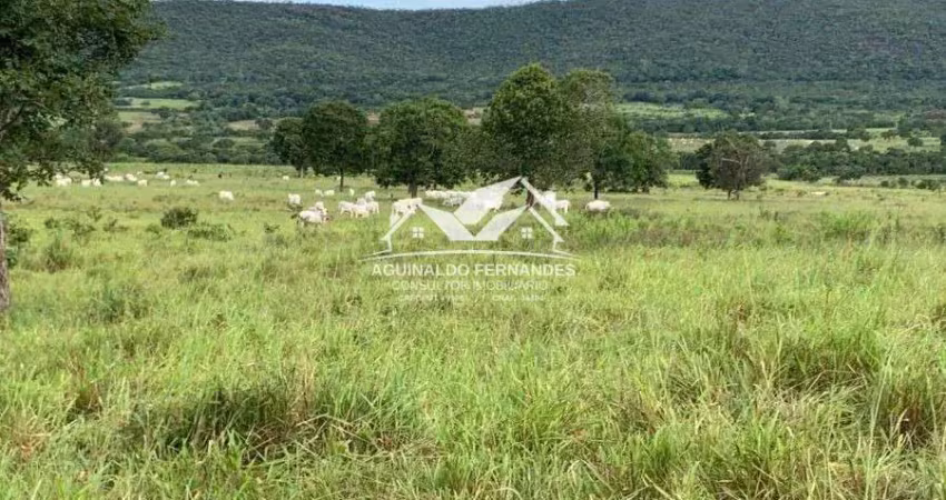 Fazenda com 387 hectares pecuária perto de cáceres mt