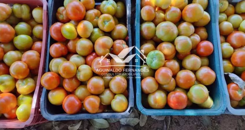 Sitio de 8 hectares produzindo hortifrúti próximo de cuiabá