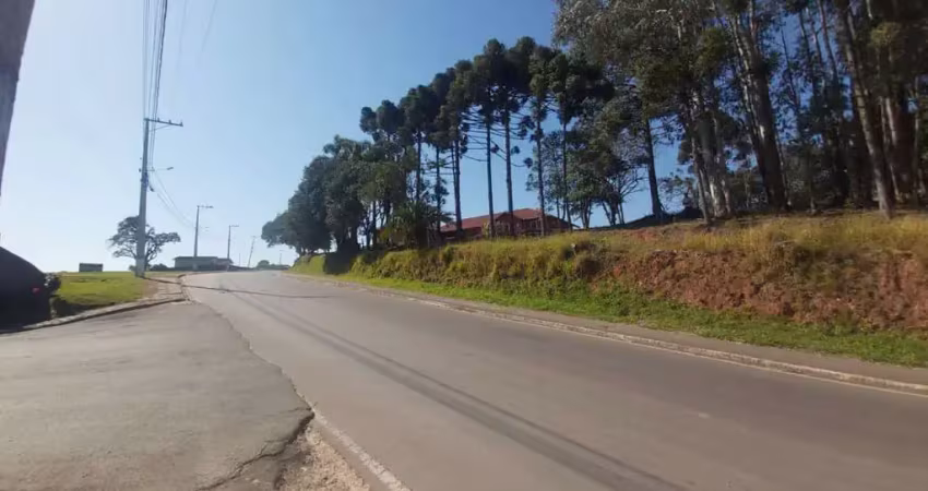 Terreno para venda em contenda, jardim carlito rudek