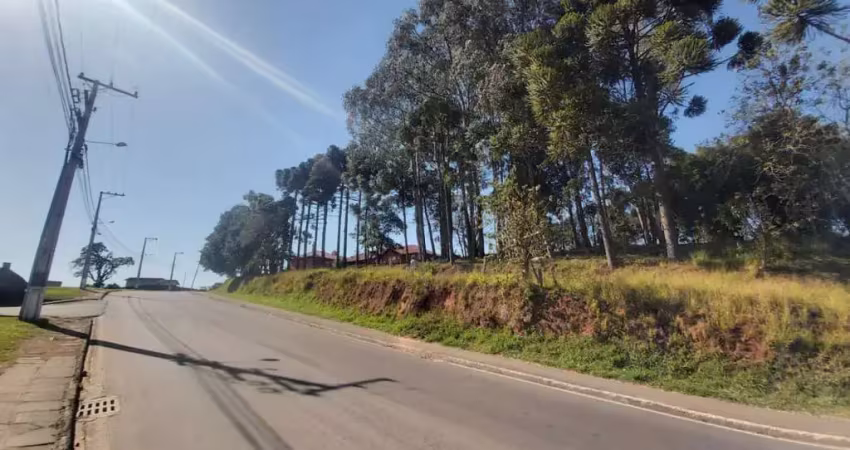 Terreno para venda em contenda, jardim carlito rudek