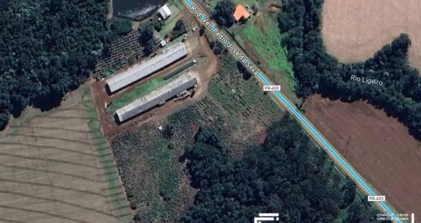 Terreno à venda na Zona Rural, Pato Branco 
