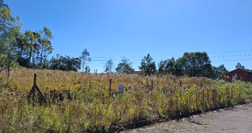 TERRENO PLANO