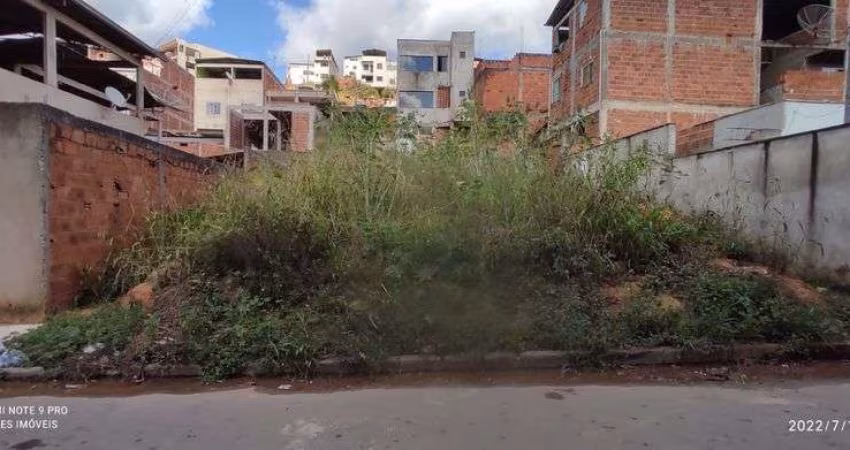 Lote plano Bairro Cidade Nova. Cód. L090, 309 m², Projeto aprovado para casa. Região de Ipatinga