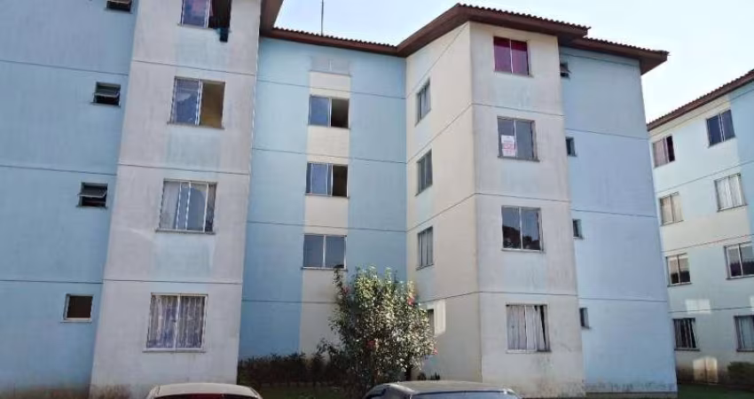 Apartamento à venda em Afonso Pena, São José dos Pinhais-PR: 2 quartos, 1 sala, 1 banheiro, 1 vaga, 49m². Venha conferir!