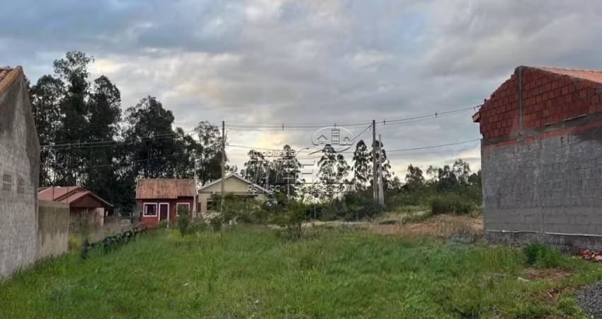 Terreno à venda na Floresta, Nova Santa Rita 