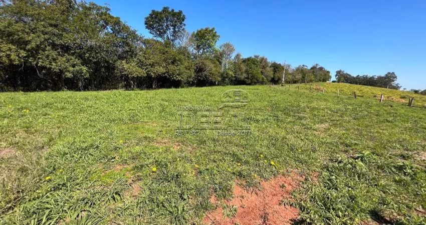 Chácara / sítio com 1 quarto à venda no Sanga Funda, Nova Santa Rita 