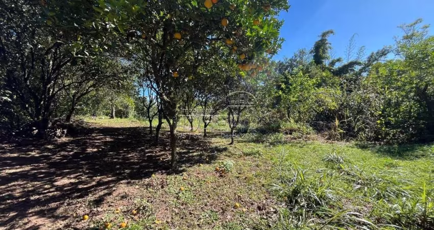 Chácara / sítio com 1 quarto à venda na California, Nova Santa Rita 