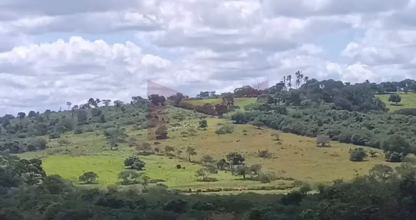 Terreno à venda - 48 tarefas / excelente localização / próximo à pista