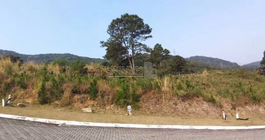 Terreno à venda na Rua Rodrigo Rampinelli Jeremias, --, Itacorubi, Florianópolis