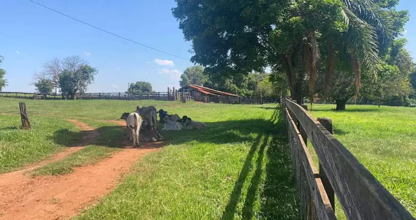 Fazenda à venda na Área Rural, Área Rural de Araranguá, Araranguá