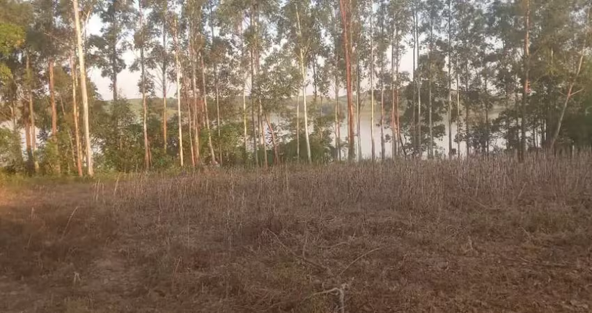 Chácara / sítio à venda na Rural, 1, Zona Rural, Barão de Antonina