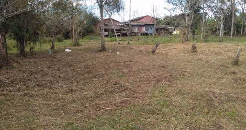 Chácara / sítio com 5 quartos à venda na BR 116, 529, Centro, Barra do Turvo