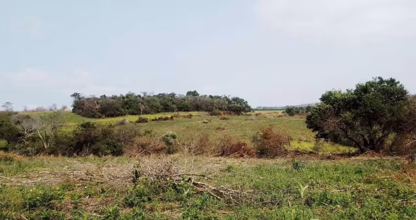 Chácara / sítio à venda na Sitio Em Carlópolis, 01, Zona Rural, Carlópolis