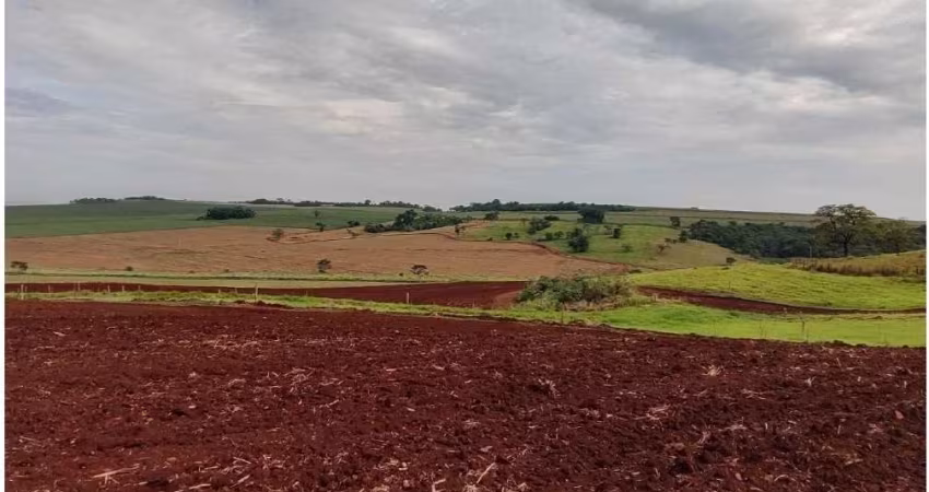 Fazenda à venda na Pradópolis, Zona Rural, Pradópolis