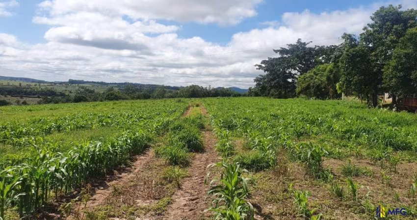 Chácara / sítio à venda na Botucatu, Zona Rural, Botucatu