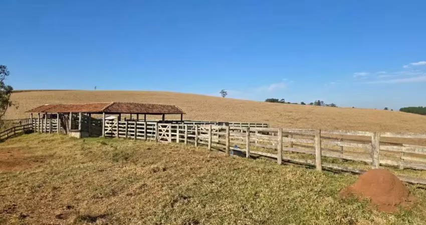 Fazenda à venda na Rural, 999, Área Rural de Capão Bonito, Capão Bonito