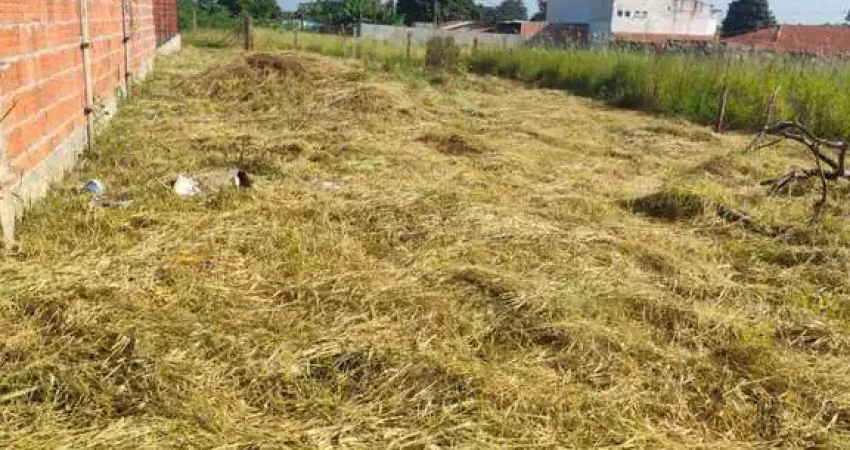 Terreno à venda na Ferroviário João de Oliveira, 9999, Bosque dos Eucaliptos, Araçoiaba da Serra