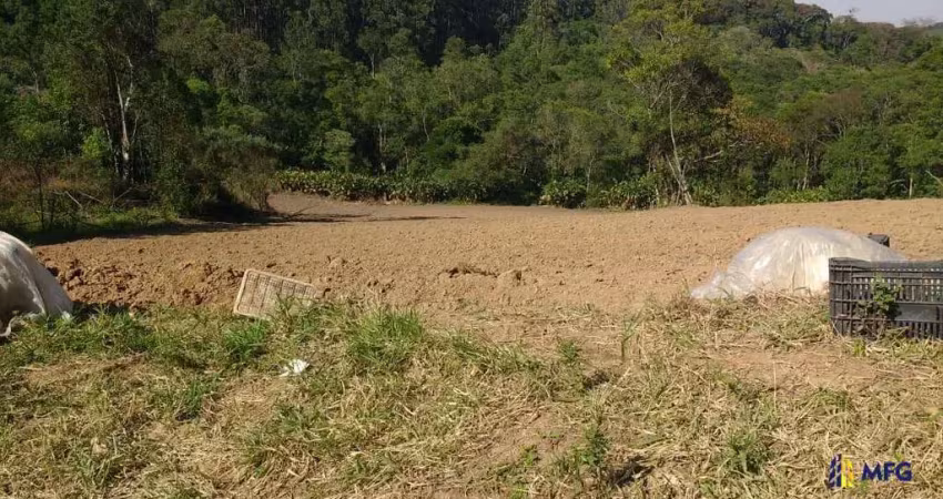 Chácara / sítio à venda na do Turvinho, 22233, Turvinho, Piedade