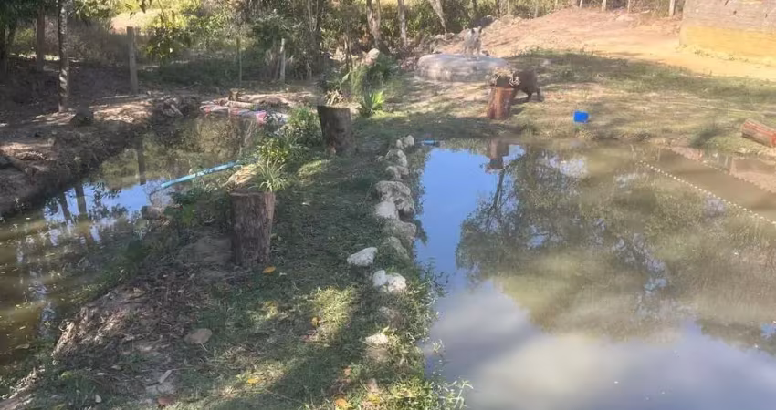 Chácara / sítio à venda na dos Correas, 000098, Bairro dos Correas, Piedade