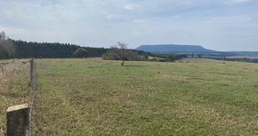 Fazenda à venda na Domiciano de Souza, 8888, Capela Velha, Guareí