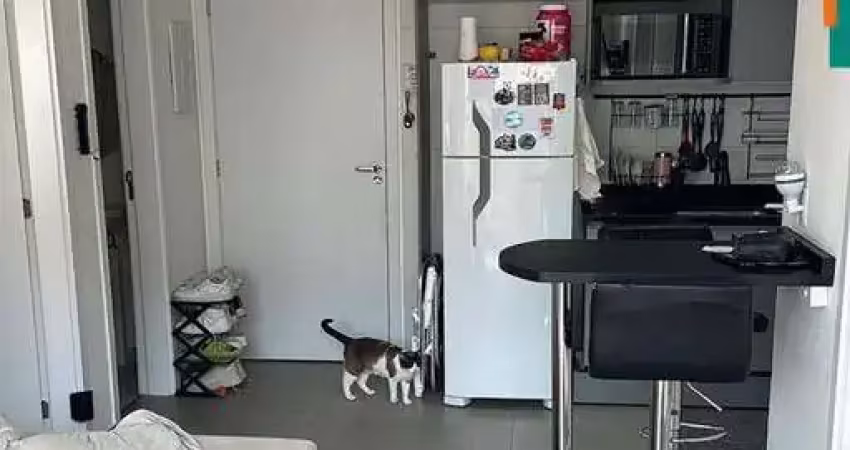 Apartamento a venda no butantã, são paulo, sp, com 37 m² de área construída, 2 dormitórios, sala, garagem 1 auto.