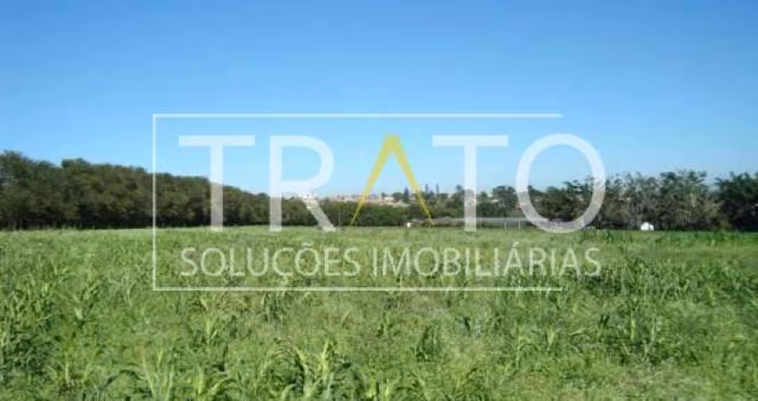 Terreno comercial à venda na Avenida das Dalias, s/nº, Borda da Mata, Holambra