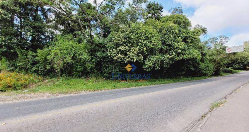 Terreno à venda, 5867 m² por R$ 2.900.000,00 - Santa Cândida - Curitiba/PR