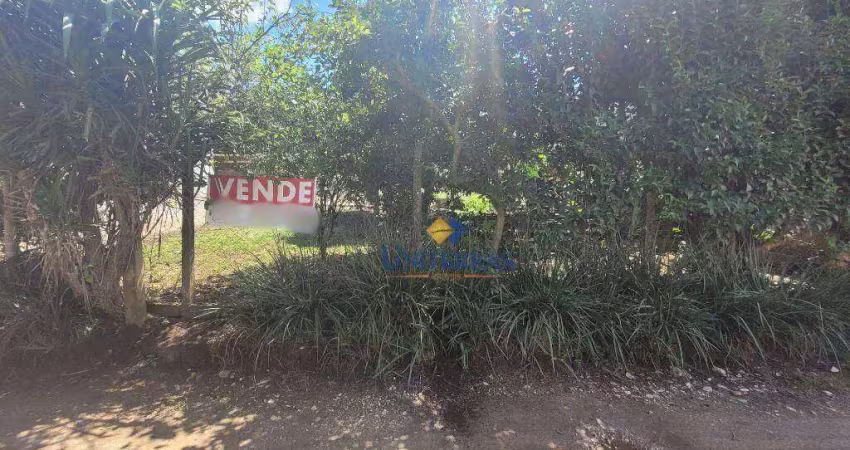Terreno à venda, 300 m² por r$ 145.000 - são gabriel - colombo/pr