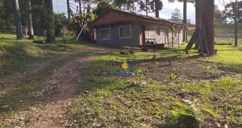 Chácara com 3 dormitórios à venda, 1000 m² por R$ 180.000,00 - Saltinho - Campina Grande do Sul/PR