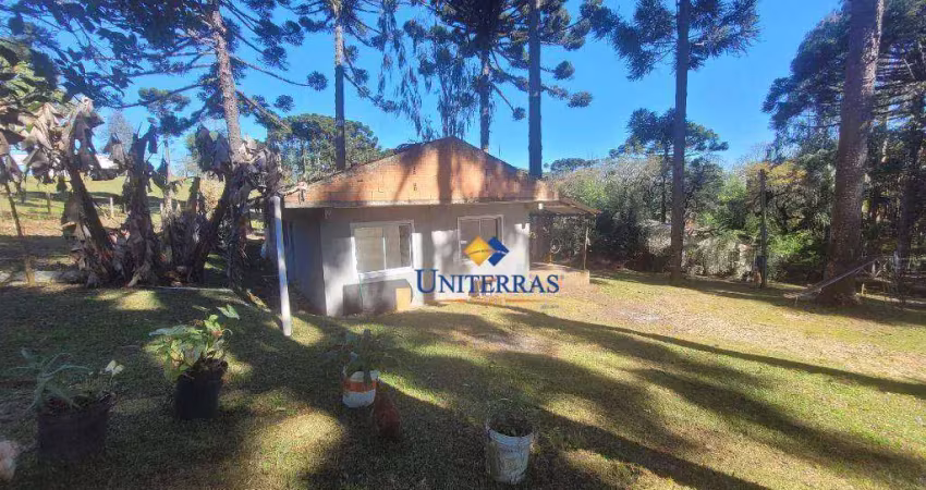 Chácara com 3 dormitórios à venda, 1000 m² por r$ 180.000,00 - saltinho - campina grande do sul/pr