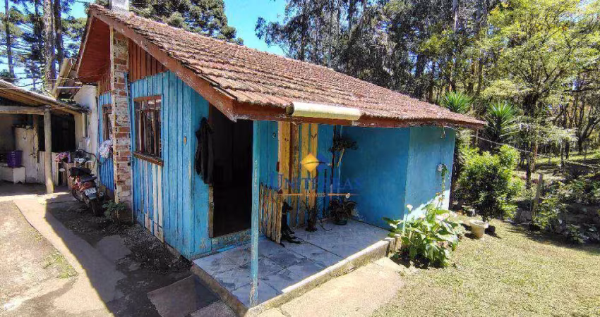 Chácara com 3 dormitórios à venda, 1200 m² por r$ 180.000,00 - saltinho - campina grande do sul/pr