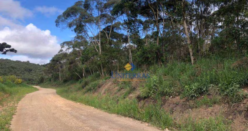 Terreno à venda, 525 m² por R$ 2.390.000,00 - Centro - Bocaiúva do Sul/PR