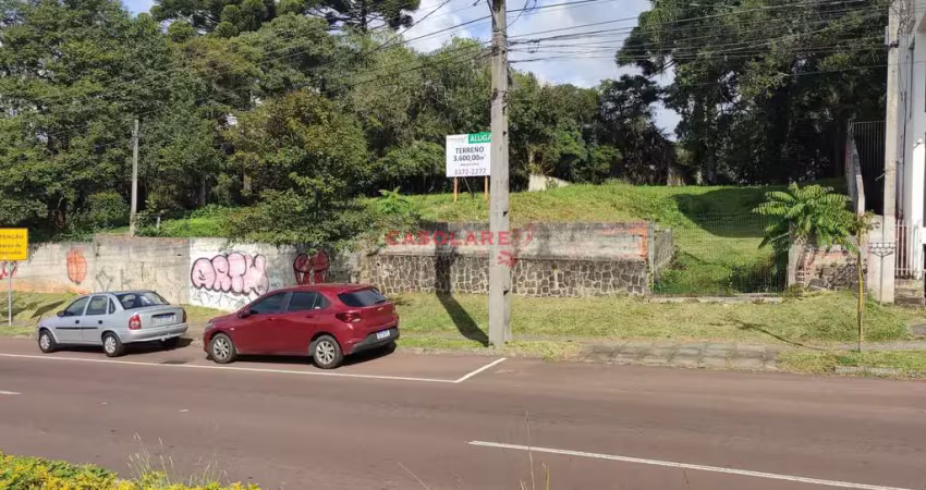 Terreno comercial para alugar na Avenida Manoel Ribas, 3525, Santa Felicidade, Curitiba