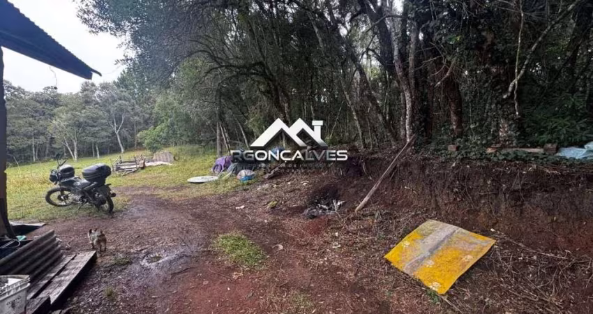 Terreno à venda em Piraquara, Vila Fuck, com 1 quarto, 3000m²