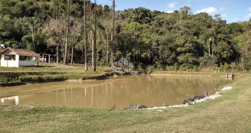 Sítio com 3 dormitórios à venda, 84700 m² por R$ 600.000,00 - Ponte Alta - Nazaré Paulista/SP