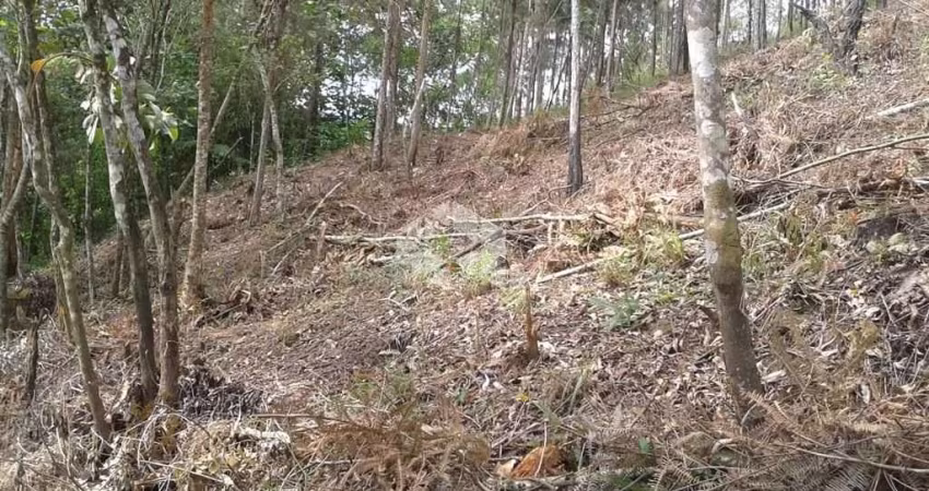 Terreno à venda, 1121 m² por R$ 100.000,00 - Portal das Colinas - Mairiporã/SP
