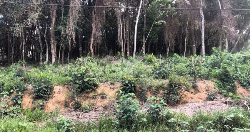 Terreno à venda, 820 m² por R$ 110.000,00 - Nascente do Sol - Mairiporã/SP