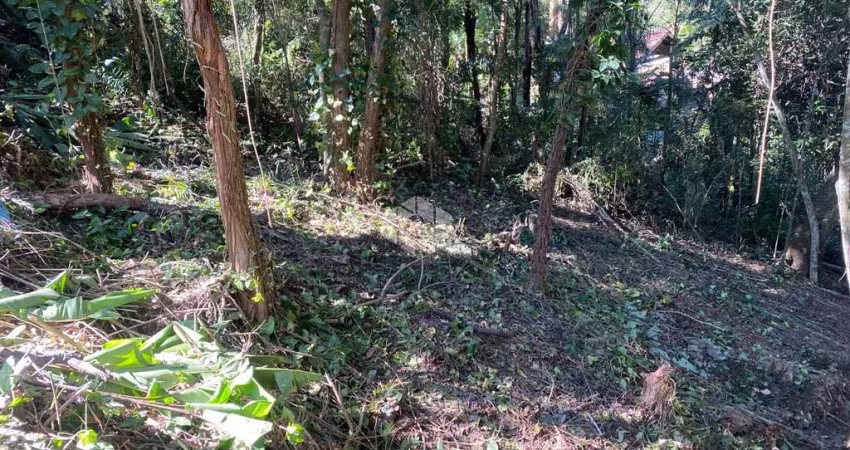 Terreno à venda, 473 m² por R$ 52.000,00 - Interlagos Village - Mairiporã/SP
