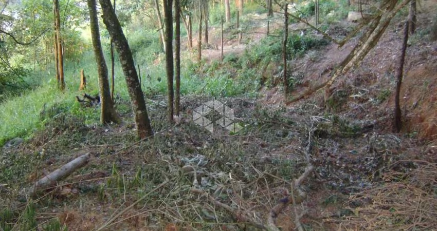 Terreno à venda, 1025 m² por R$ 230.000,00 - Recanto do Lago - Mairiporã/SP