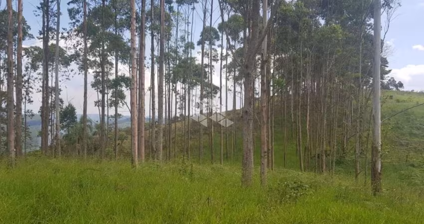 Área à venda, 108.750 m² por R$ 400.000 - Ponte Alta - Mairiporã/SP