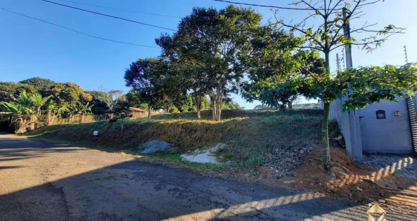 Terreno à venda, 5000 m² por R$ 1.699.000 - Chácaras Cataguá - Taubaté/SP