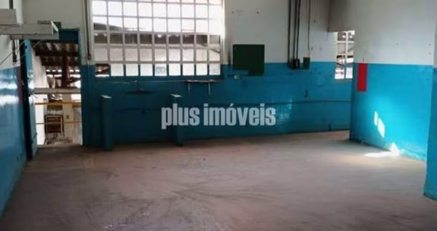 terreno plano  15 bX 50 m2   - vila Romana