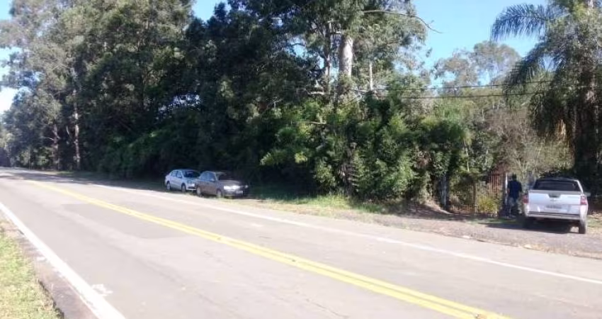 Terreno nas Margens da Rodovia Engenheiro Constâncio Cintra