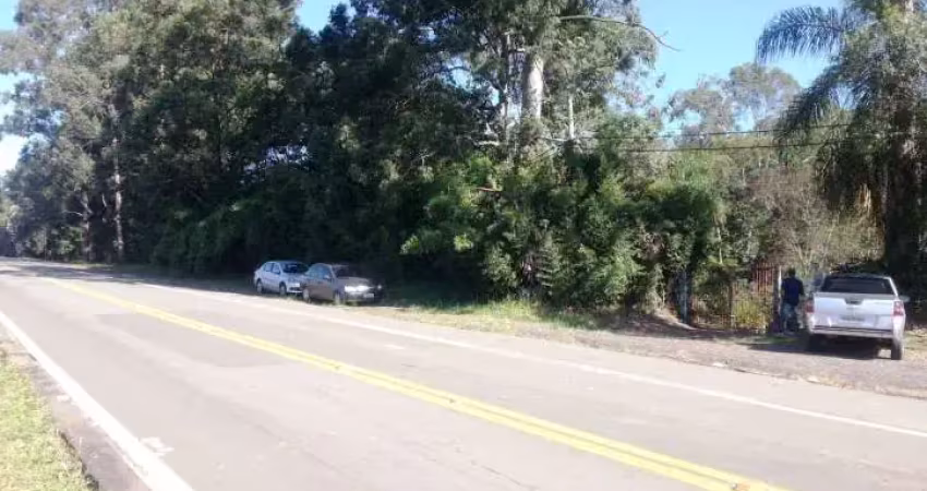 Terreno nas margens da rodovia engenheiro constâncio cintra