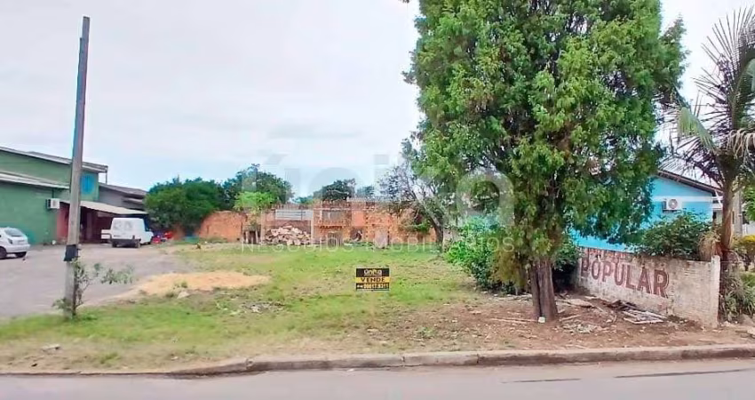 Terreno à venda na Rua José Realino Gomes, Arapongas, Araranguá