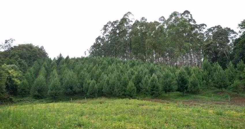 Terreno SANTA MARIA (BENEDITO NOVO) - SC