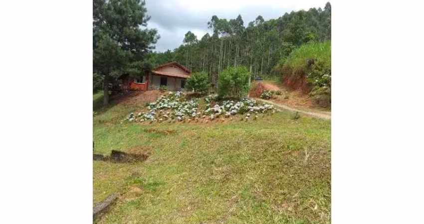 Fazenda com 1 sala à venda na BENEDITO NOVO, S/N, Barra São João, Benedito Novo