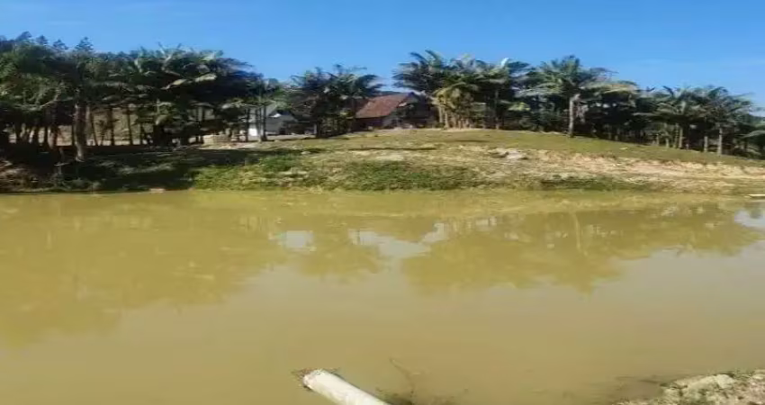 Fazenda à venda na BENEDITO NOVO, Zona Rural, Benedito Novo